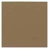 Buff Tan release color for stamped concrete