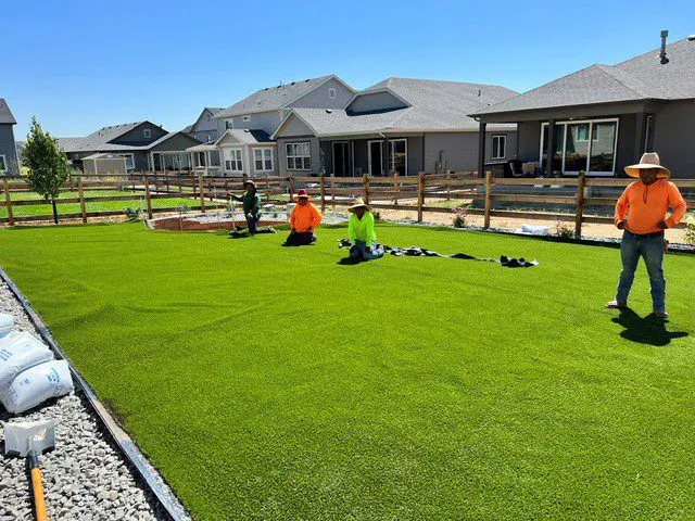 Low-maintenance artificial turf landscape by FRSR