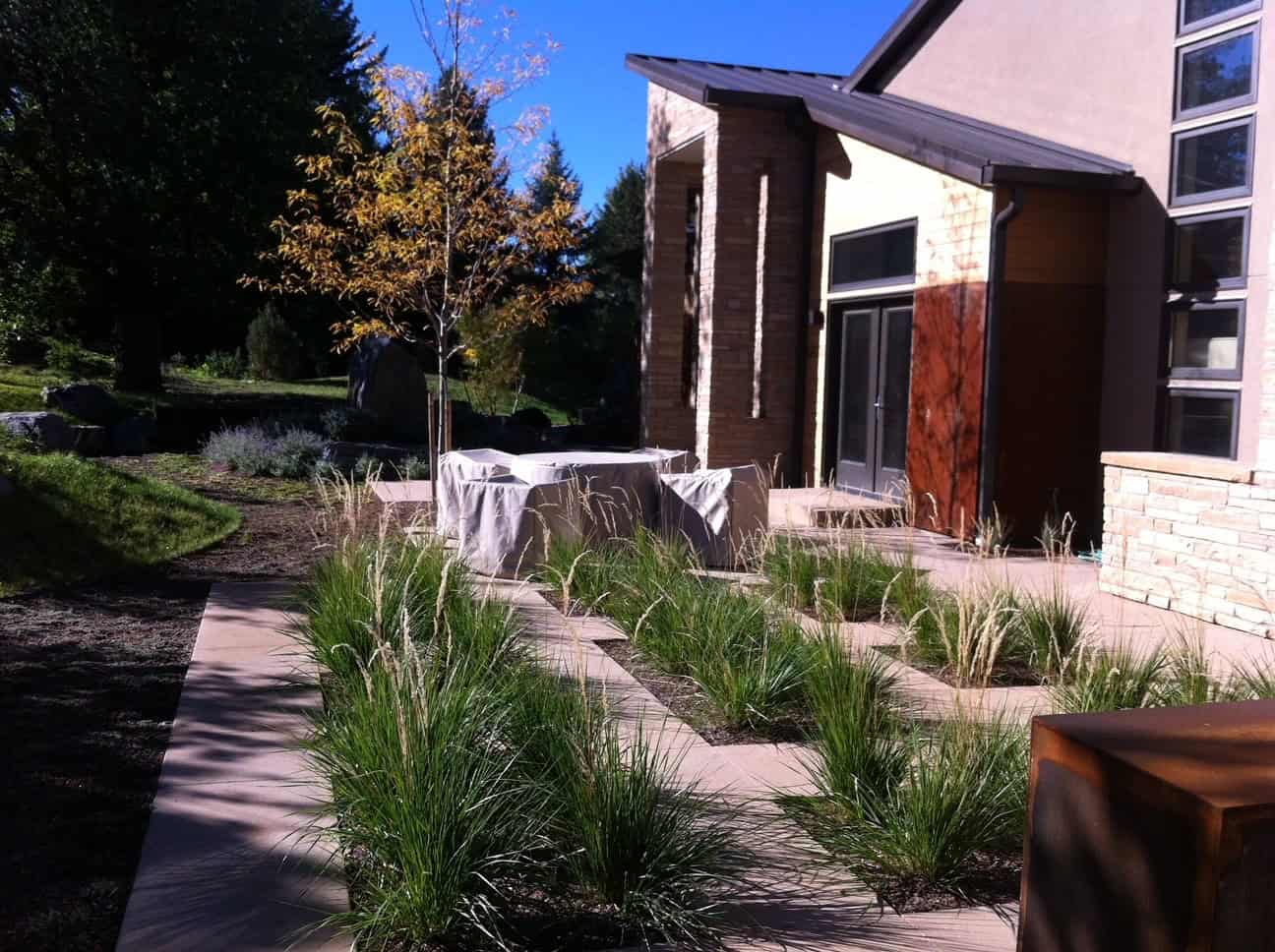 Colorado front yard with boulders, ornamental grasses, and mulch.