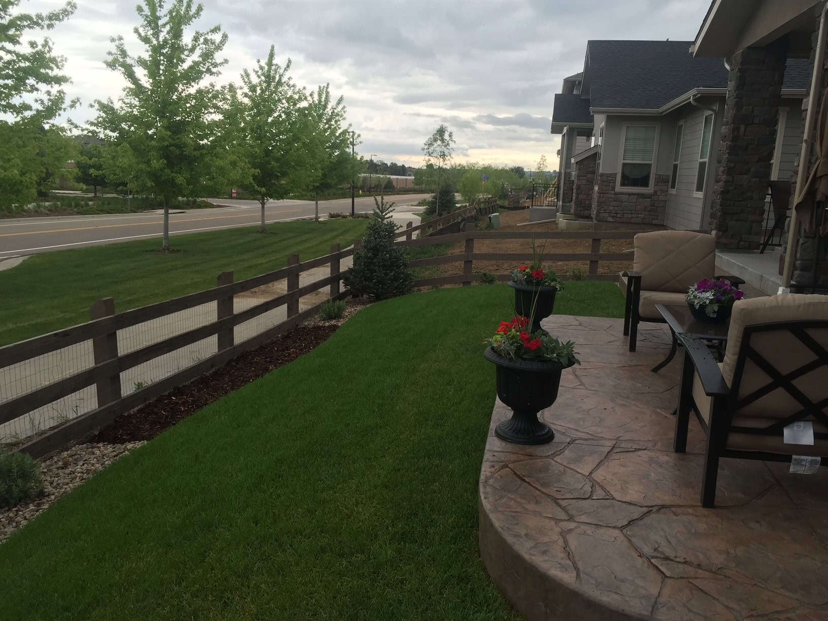 Healthy natural grass lawn in Colorado residential landscape