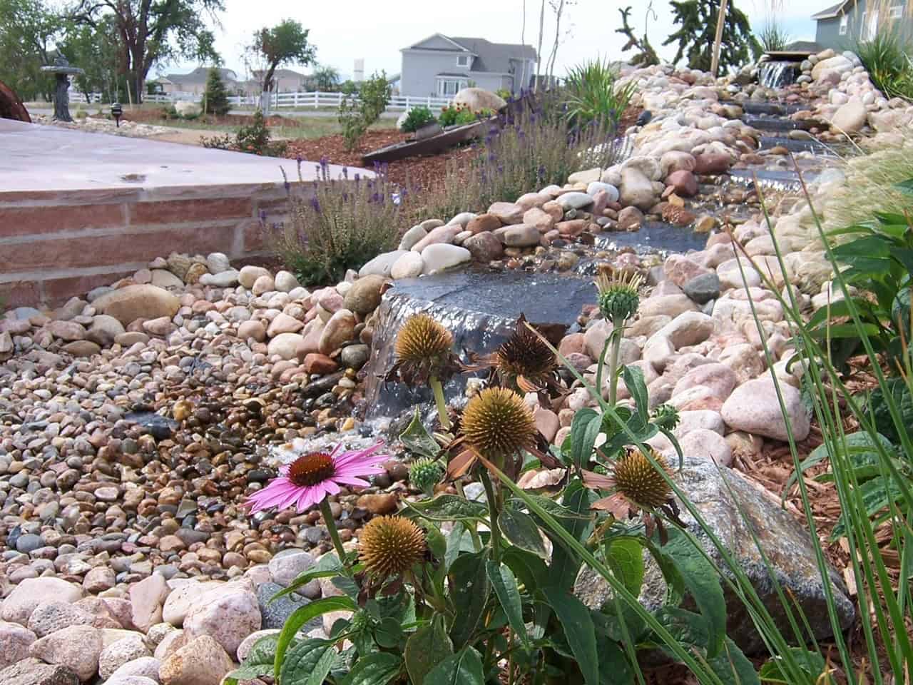 Colorado Rock and Plant Landscaping