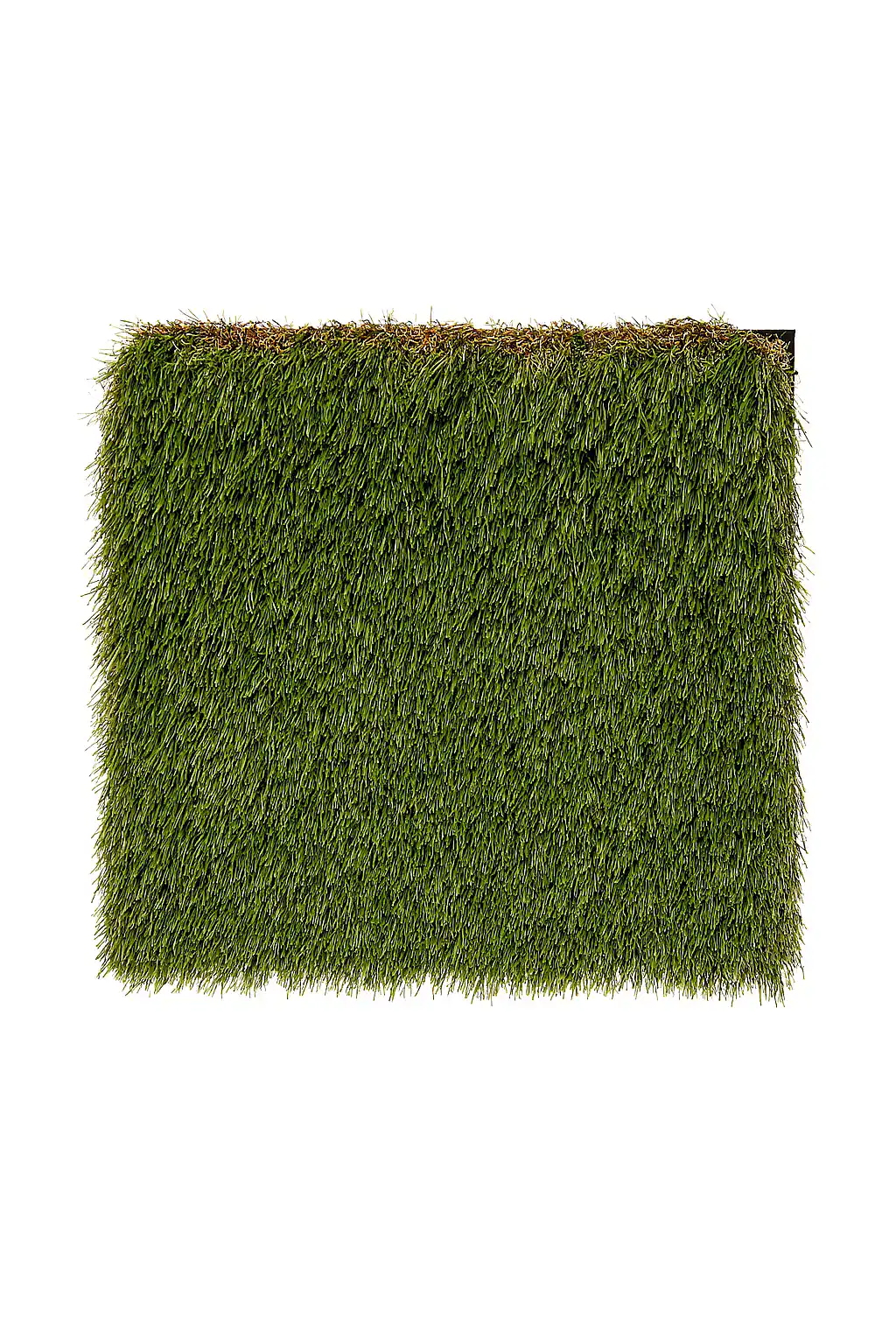 Ultimate Pet turf option by FRSR