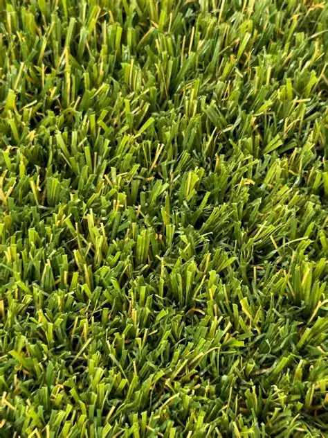 ZL13 and ZL14 drought-tolerant turf for Aurora Colorado homes