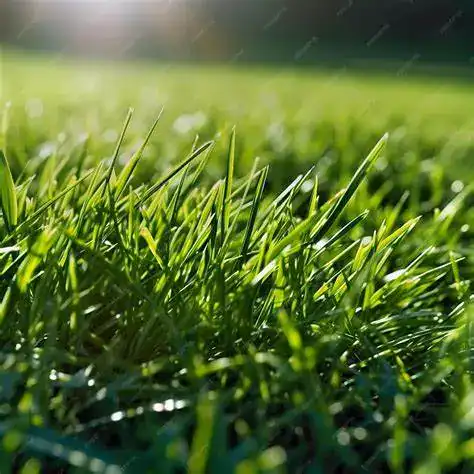 ZL13 turf product photo for specialty turf applications