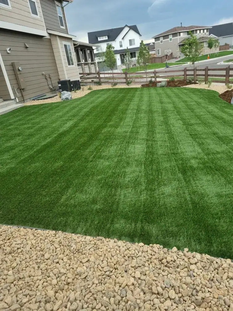Finished artificial turf and landscaping installation by FRSR for a Colorado home near Parker
