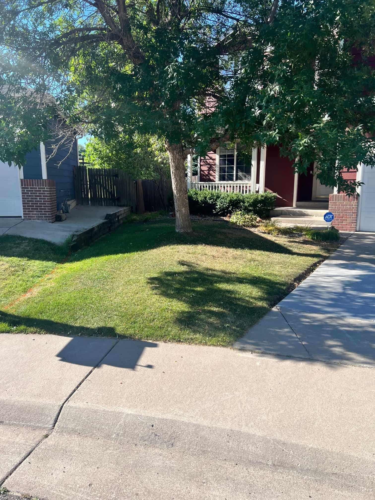 Before: turf lawn and irrigation