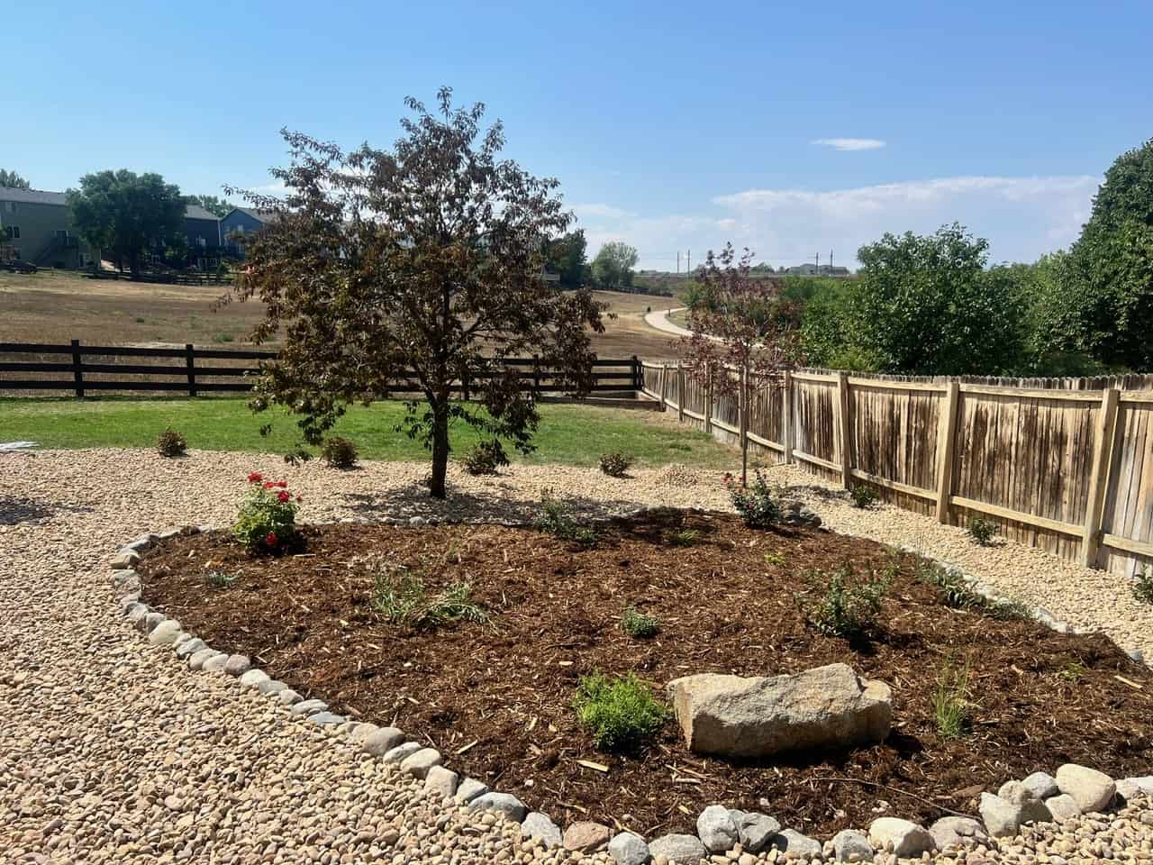 Low-water garden with shrubs, mulch and rock