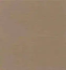 Blush Beige hardener color for stamped concrete