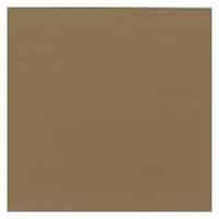 Buff Tan release color for stamped concrete