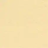 Golden Sandstone hardener color for stamped concrete