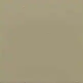 Oyster White hardener color for stamped concrete