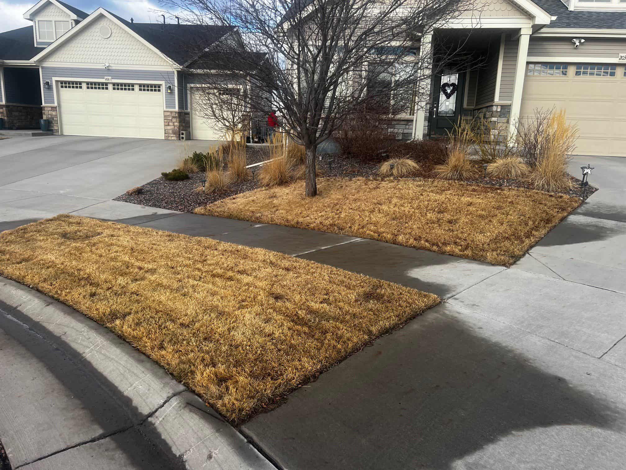 Before artificial turf installation showing worn natural grass lawn in a Colorado backyard